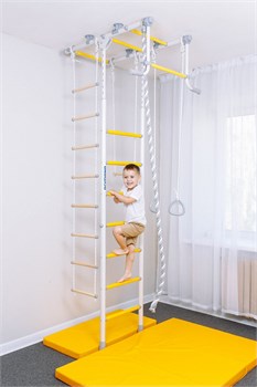 Шведская стенка ROMANA R1 [синяя слива] 16298