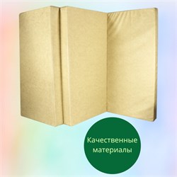 Мат №6 (150 х 100 х 10) складной [бежевый] 5991