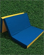 Мат №6 (150 х 100 х 10) складной [синий/желтый] 5994